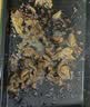 恒都 秘制拌肉250g*4 静腌牛肉 齐齐哈尔烤肉风味 烧烤食材 实拍图