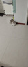 皇家搭档猫罐头猫零食成猫幼猫罐头浓汤大肉添加虾仁蟹黄软骨混合85g*12罐 实拍图