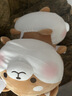 名创优品（MINISO）趣味阿柴弹力超柔趴姿公仔毛绒玩偶儿童玩具抱枕靠枕生日礼物女 实拍图