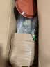 格调生活小盼菩提树盆栽绿植物室内花盆景办公室桌面观叶四季客厅好养活树 特大盼菩提（带果发货）绿迎客松陶瓷 带盆栽好 实拍图