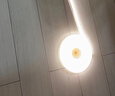 雷士（NVC）灯带led灯条线型灯低压无频闪5米暖白-320灯珠/米-95显-自购电源 实拍图