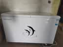 荣事达（Royalstar）冰柜商用大容量全冷冻卧式冰柜家用冷藏冷冻两用冷柜双温商用大冰柜冷冻柜展示柜 【热销 | 366双温蝴蝶门】长1.27米 | 双温双箱 实拍图