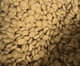 皇家猫粮 波斯成猫粮 P30 通用粮 12月以上 10KG 实拍图
