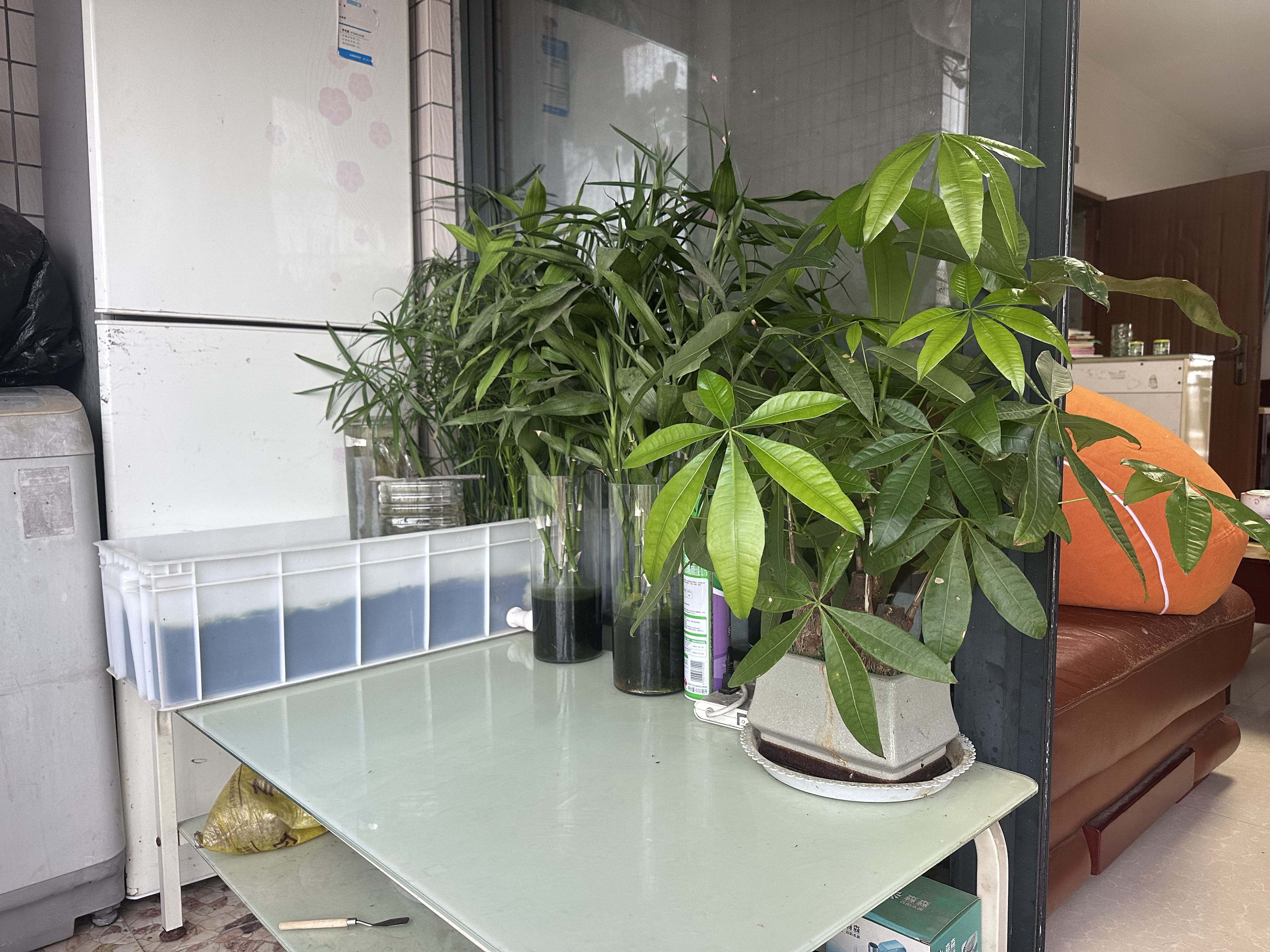 本木自在（BENMUZIZAI）意式轻奢实木鞋柜家用门口室内新款2025爆款入户玄关柜一体鞋架子 普通纤维板60cm两门一抽星空灰 实拍图