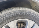 固铂（Cooper）汽车轮胎 235/55R18 100V EVOLUTION CTT 原配瑞虎8适配探岳/H2 实拍图