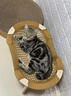 HOUYA猫床猫窝夏季藤编凉席吊床猫咪吊篮宠物吊床离地行军床四季 实拍图