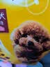 宝路狗粮全犬种通用全价粮成犬狗粮中小型犬牛肉味7.5kg【原料透明】 实拍图