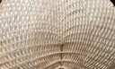 燕云州手工草编织扇子创意饰品古风老式蒲扇夏季乘凉手摇扇轻巧粽叶扇子 中号包边蒲扇(面宽约25-28cm) 实拍图
