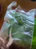 加厚食品袋保鲜袋背心式厨房家用冰箱平口厚实收纳打包密封塑料袋 【家庭刚需】100只   30cm*35cm 实拍图