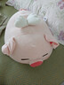 名创优品（MINISO）小猪B-BO翅膀款趴毛绒公仔玩具玩偶抱枕娃娃靠枕生日礼物女 实拍图