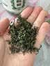 养益君绞股蓝125g 深山七叶绞股蓝胶股蓝嫩叶 实拍图