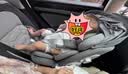 京东京造儿童安全座椅汽车0-6-12岁婴儿宝宝i-Safe双通风 商务舱3.0典雅灰 实拍图
