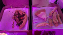 艾刻刻章印章盖章定制姓名方章光敏万次印章椭圆形印章定制定做刻字盖章自动出油万次印章 40mm(顺F) 默认167 实拍图