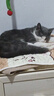 纯刻 B40低温烘焙猫粮无谷全价成猫幼猫专用干粮0谷物低敏鲜鸡肉配方 3kg【3包常备装】送猫条+罐头体验装 实拍图