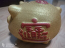 侑家良品金猪存钱罐 只进不出送孩子儿童六一儿童节 生日礼物 大号 实拍图