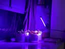 迈睿星全光谱led植物生长灯仿太阳光多肉花卉室内家用植物补光灯 1头/循环定时/usb接口 实拍图