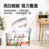 立邦补墙膏墙面修复防霉抗菌墙面修补膏堵洞腻子膏白色1kg 实拍图