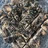 劣狐狐白岛原味棉花糖500g烘焙原料DIY牛轧糖材料牛轧糖雪花酥低甜度 实拍图