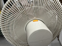美的（Midea）【幸运草安睡2.0MAX】闪电拆装直流变频家用电风扇语音遥控大风量落地扇一级能效卧室静音新款电扇 实拍图