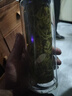 【京东物流配送】高硼硅双层玻璃杯大容量泡茶杯水杯子茶水分离杯 【双层加厚】茶杯350ml1只 实拍图
