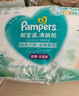 帮宝适（Pampers）清新帮尿不湿婴儿纸尿裤 L112片【纸尿裤】 实拍图