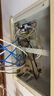 秋叶原（CHOSEAL）原装六类网线【工程版0.57±0.02mm】CAT6纯铜线芯非屏蔽千兆网络线橙色50米 QS2619CT50S 实拍图