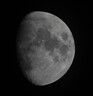 索尼（SONY）FE 200-600mm F5.6-6.3 G OSS 全画幅超远摄变焦G镜头打鸟镜头 (SEL200600G) 实拍图