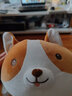 名创优品（MINISO）小猪B-BO系列趴姿毛绒玩偶公仔布娃娃抱枕猪毛绒玩具女孩午睡枕可 萌趣柯基（32*25cm） 实拍图