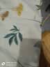 安睡宝（SOMERELLE）100%全棉床上四件套纯棉 床单款床上用品被套200*230cm1.5/1.8米 实拍图