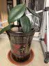 花盆陶瓷花盆家用紫砂陶土盆大号栽花绿植多肉盆景落地盆兰花盆 口径40cm（超大一个）送托盘 实拍图