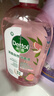 滴露（Dettol）香氛自然衣物消毒液1L*4  留香48H洗衣除汗臭 儿童玩具杀菌消毒水 实拍图