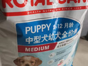 皇家狗粮 幼犬狗粮 幼犬奶糕 宠物中型犬MEJ32全价犬粮2-12月15KG 实拍图
