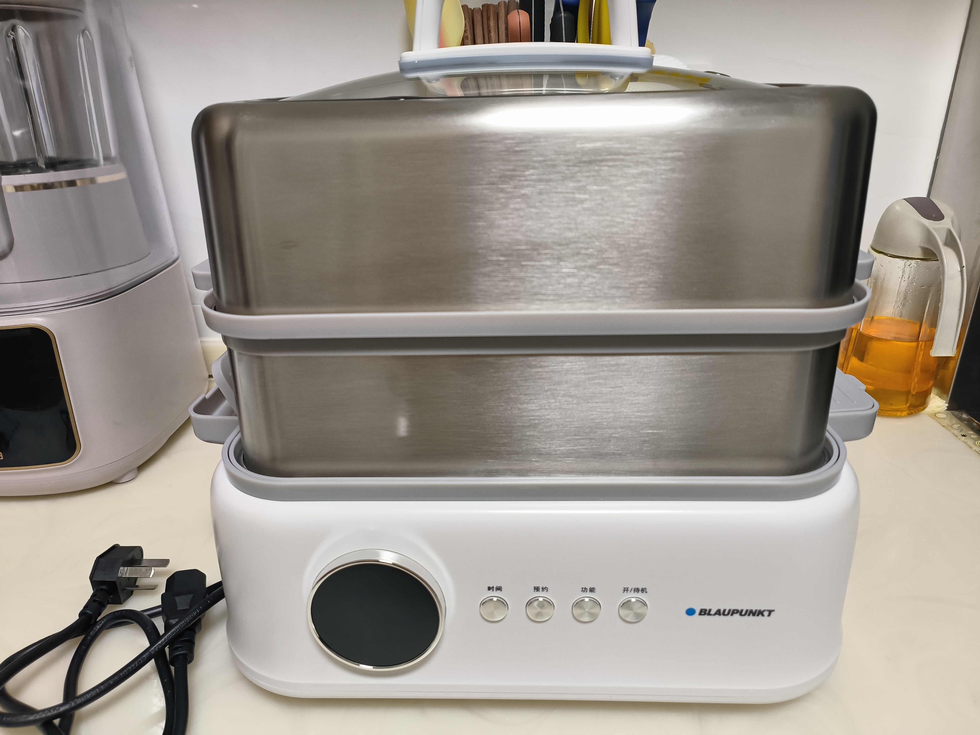 蓝宝（BLAUPUNKT）不锈钢电蒸锅多功能蒸炖锅10L双层蒸笼蒸炖一体24H智能预约煮锅蒸包子电炖锅ZG03B 实拍图