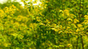 适马（SIGMA）56mm F1.4 DC DN｜Contemporary 半画幅大光圈定焦镜头 人像特写（适马56 f1.4索尼E卡口） 实拍图