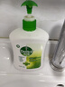 滴露（Dettol）洗手液松木500g瓶 健康抑菌消毒非补充装 儿童家庭用清爽去油 实拍图