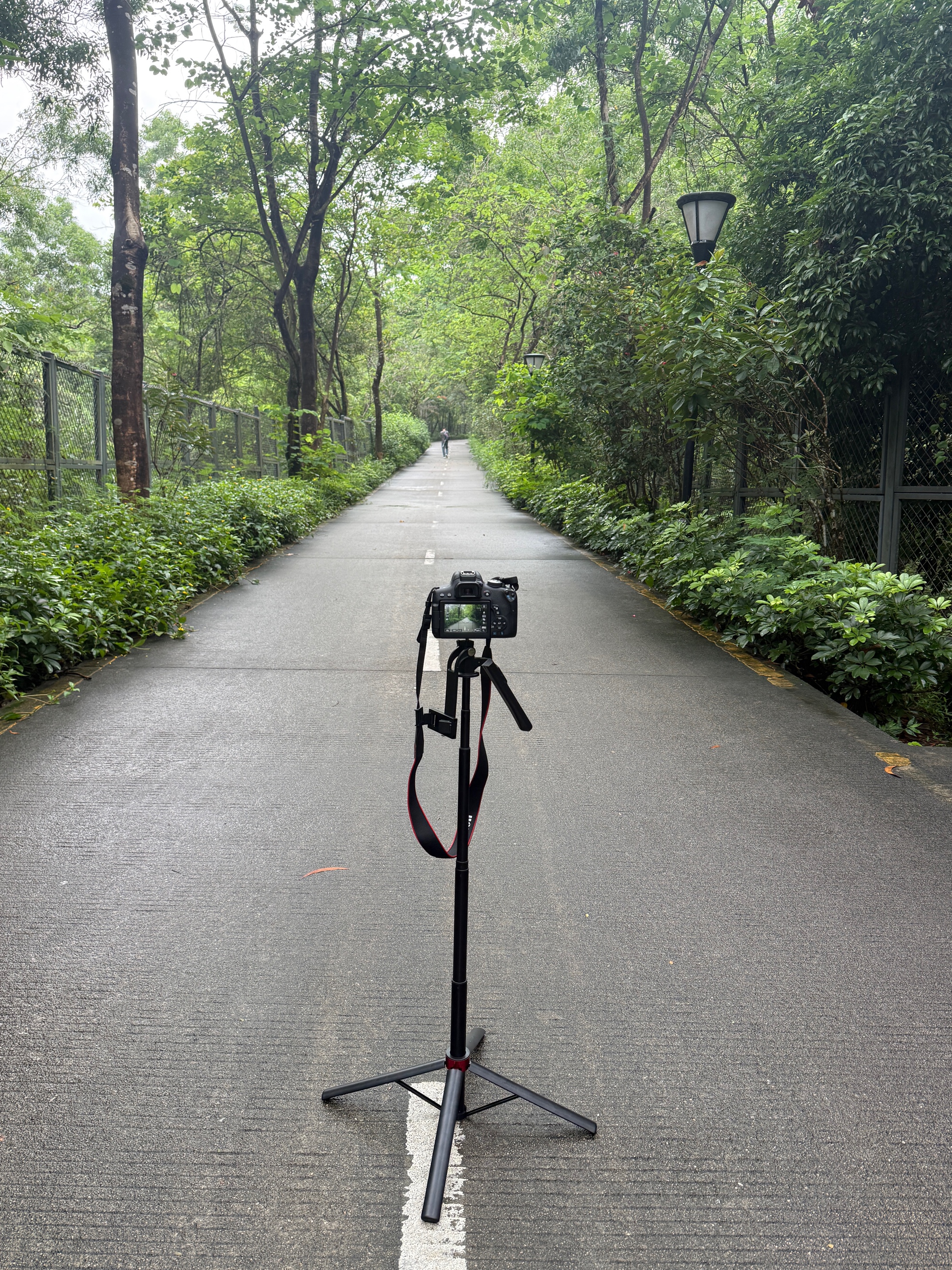 硕图自拍杆三脚架云台稳定器手持拍照防抖直播神器360度旋转伸缩旅游手机支架落地直播支架抖音拍摄架 实拍图