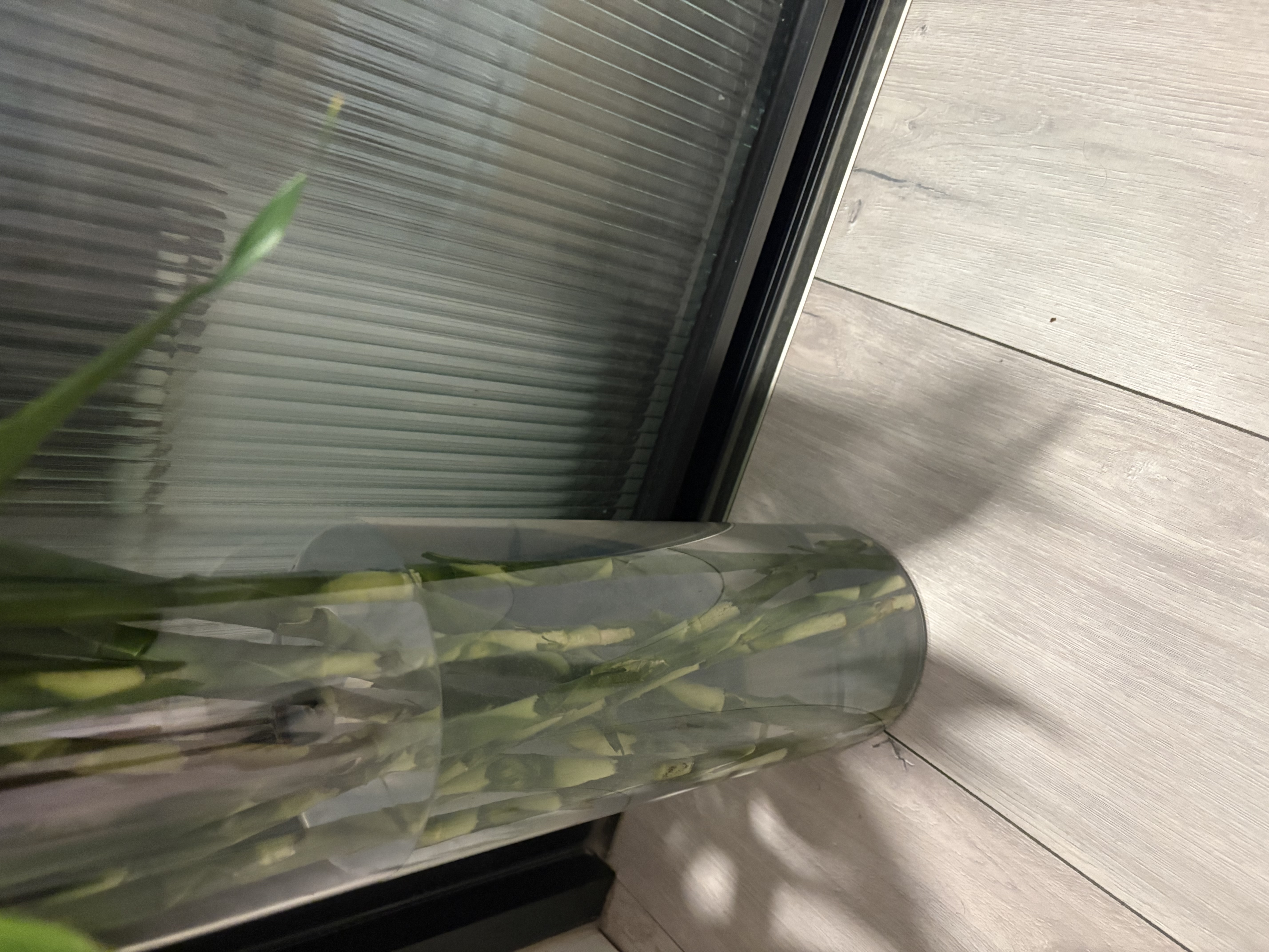 吕姆克花瓶摆件醒花桶高款水培容器透明鲜花插花瓶器富贵竹落地防摔3955 实拍图