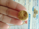麦德氏IN狗狗鲨鱼软骨素套装340g*2宠物狗狗关节软骨素钙片修护关节 实拍图