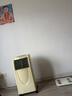网易严选全价猫粮4.0 猫主粮成幼猫低敏无谷驼羊奶促吸收 鸡肉羊奶味1.5kg 实拍图