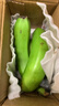 高山精品甜蕉现摘新鲜水果香蕉孕妇宝宝辅食搭配丫丫生鲜特产 1斤装【青蕉发货】 实拍图