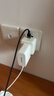 品胜苹果数据线快充充电器线适用iPhone14promax/13/12/11/8/Xs手机iPad车载USB to Lightning编织1.5m 实拍图