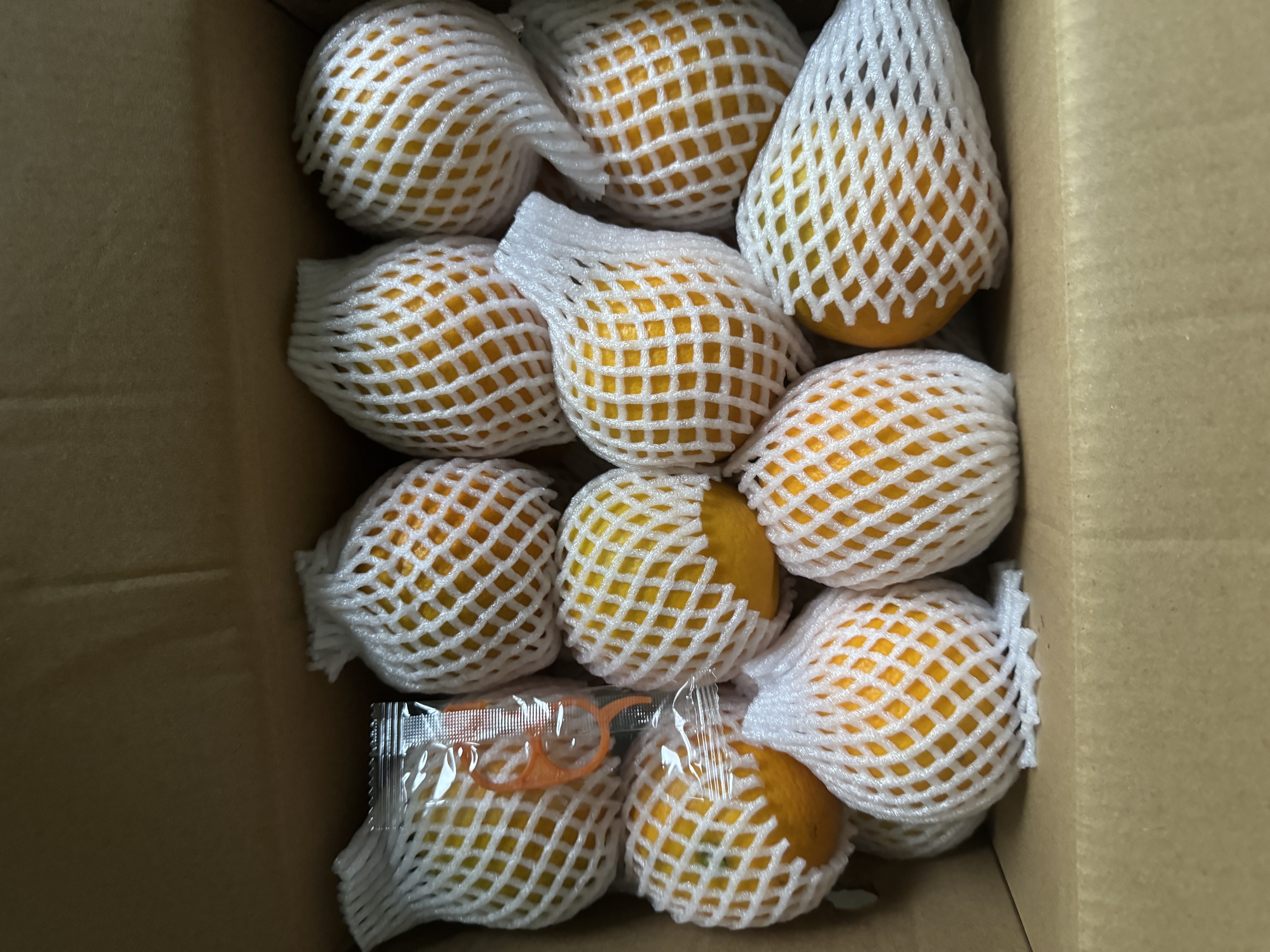 京地达橙子赣南伦晚脐橙正宗江西赣州脐橙净重9斤单果220g+源头直发包邮 实拍图