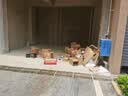 京东京造不锈钢双开门自动铺袋智能垃圾桶30L 感应家用客厅卧室办公室 实拍图
