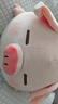 名创优品（MINISO）小猪B-BO弹力超柔趴姿公仔毛绒玩偶儿童玩具抱枕靠枕生日礼物女 实拍图