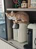 佩玛思特升级款深海鱼系列三种鱼成猫猫粮10kg【囤货装】 实拍图