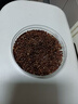 古茶养仁特级黑苦荞茶四川大凉山全颗粒胚芽荞麦养生茶500g 实拍图