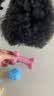 HELLOJOY狗狗玩具球小狗磨牙棒骨头耐咬狗咬胶小型犬宠物用品幼犬自嗨解闷 实拍图