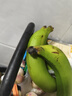 高山精品甜蕉现摘新鲜水果香蕉孕妇宝宝辅食搭配丫丫生鲜特产 1斤装【青蕉发货】 实拍图