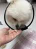 雅礼颂猫咪零食冻干鸡小胸鱼油夹心冻干50g宠物专用美发磨牙营养粮 实拍图