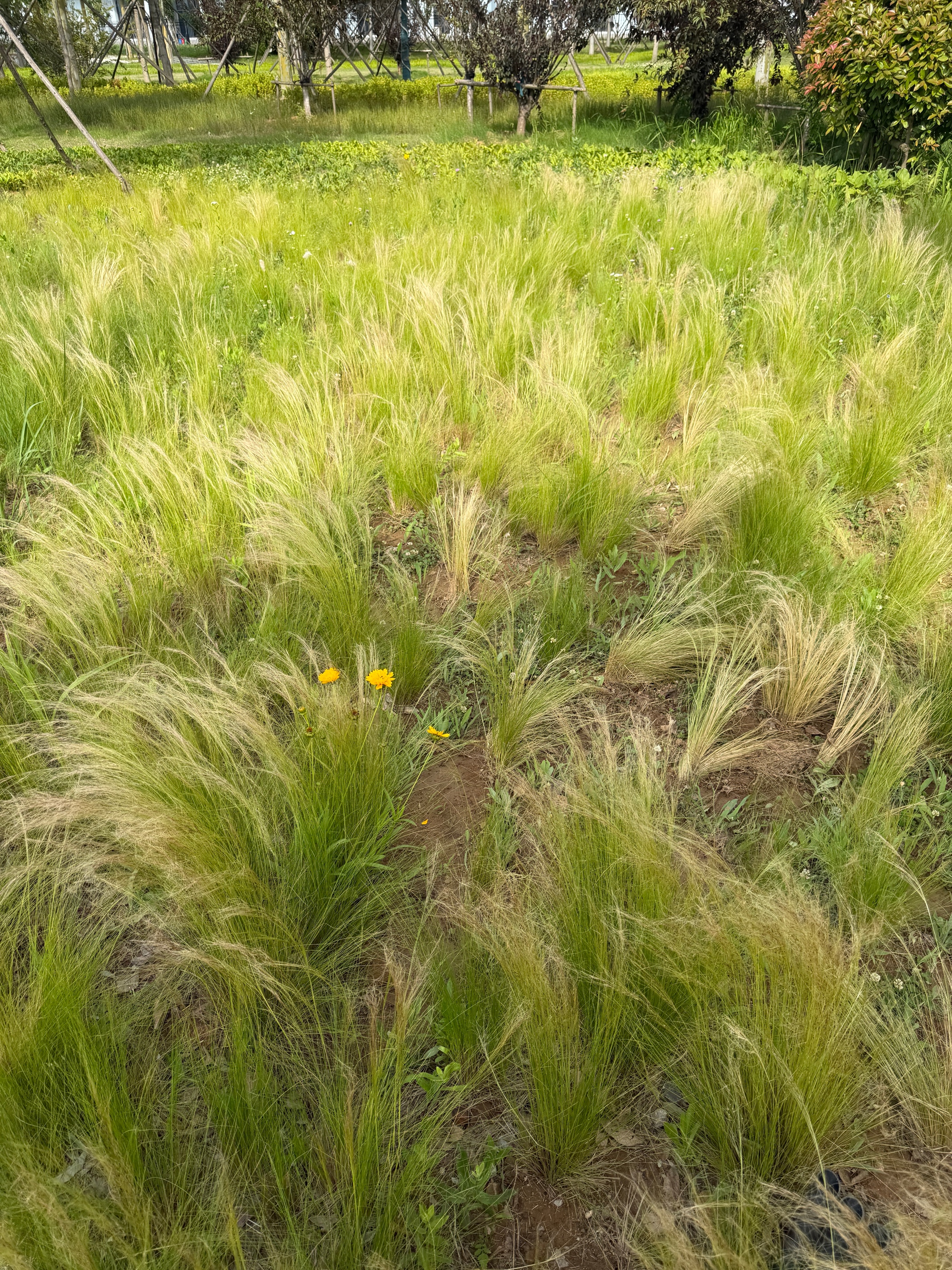 得力（deli）防台风胶带抗台风纳米胶带 50mm*10m 贴窗固定透明强粘 防潮密封堵缝 厨房灶台防油防污 JL536 实拍图